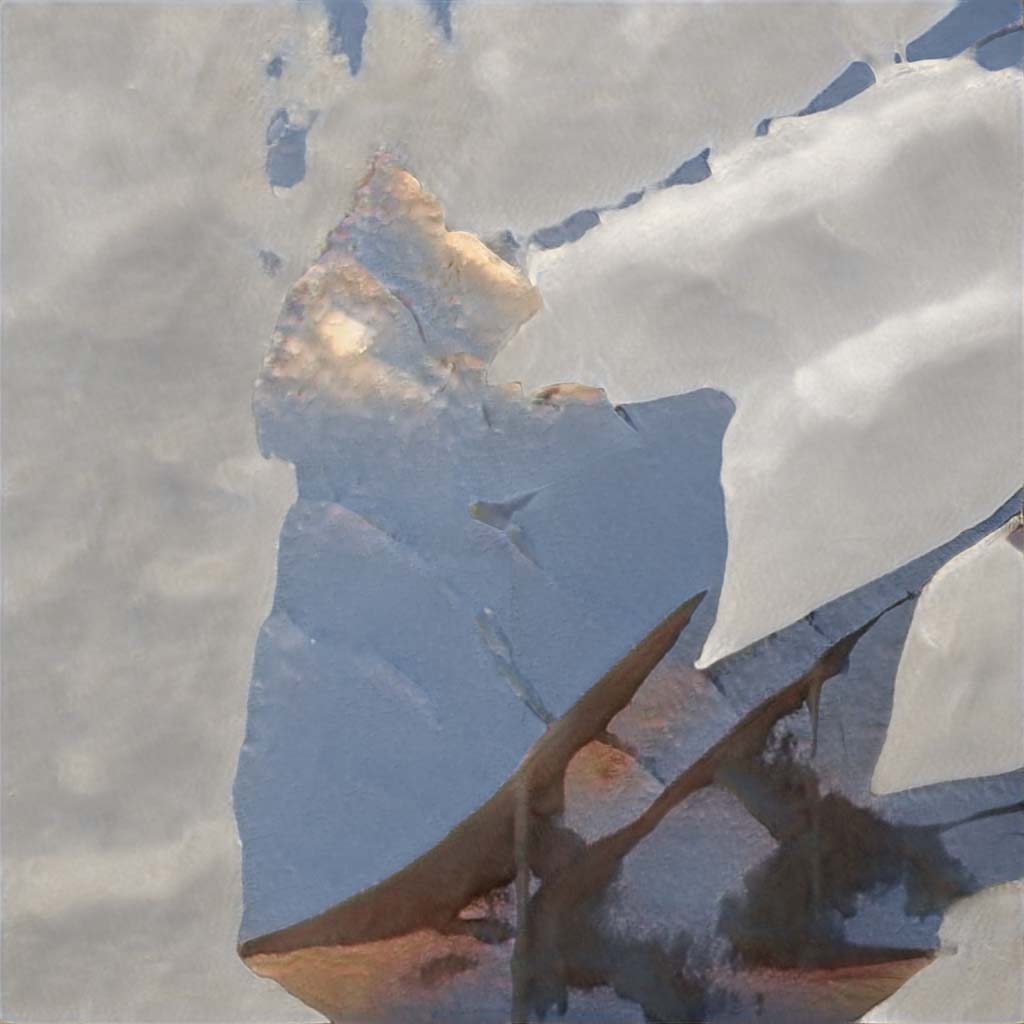 seed3851.jpg