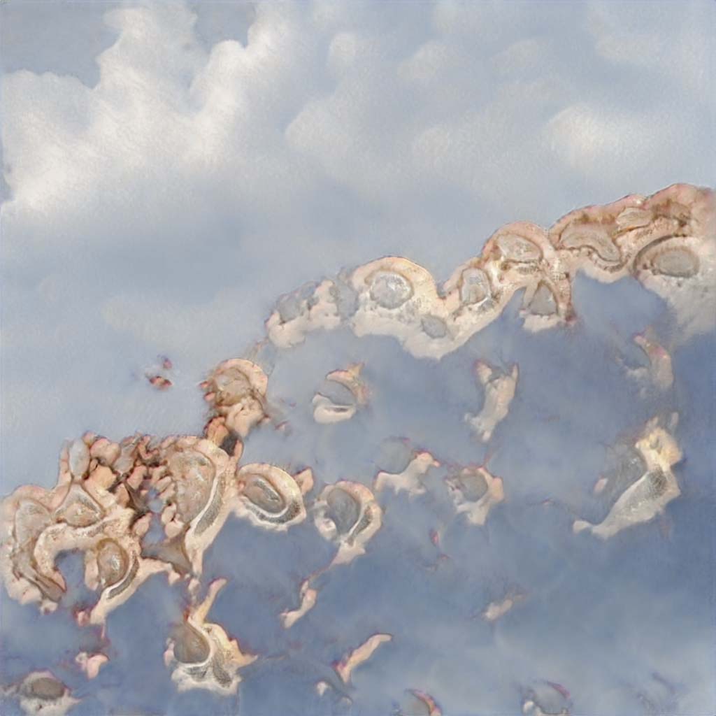 seed2284.jpg