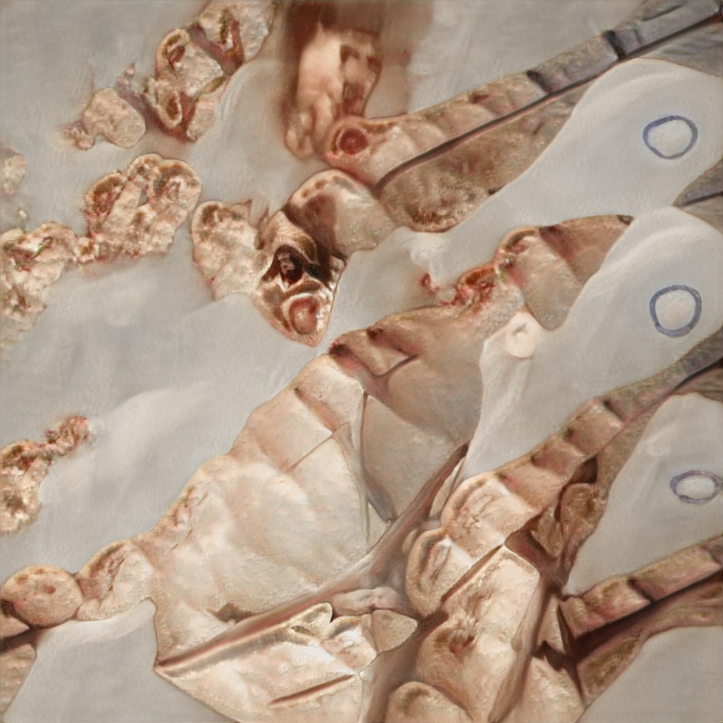 seed5013.png
