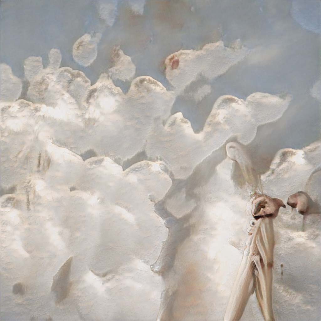 seed5774.jpg