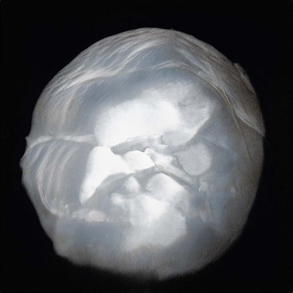 seed0009.jpg