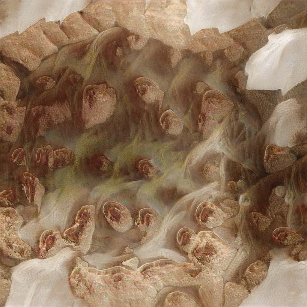 seed5035.jpg