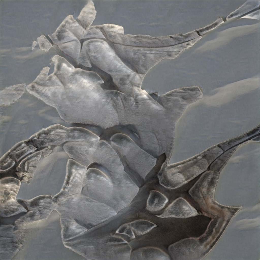 seed9030.jpg