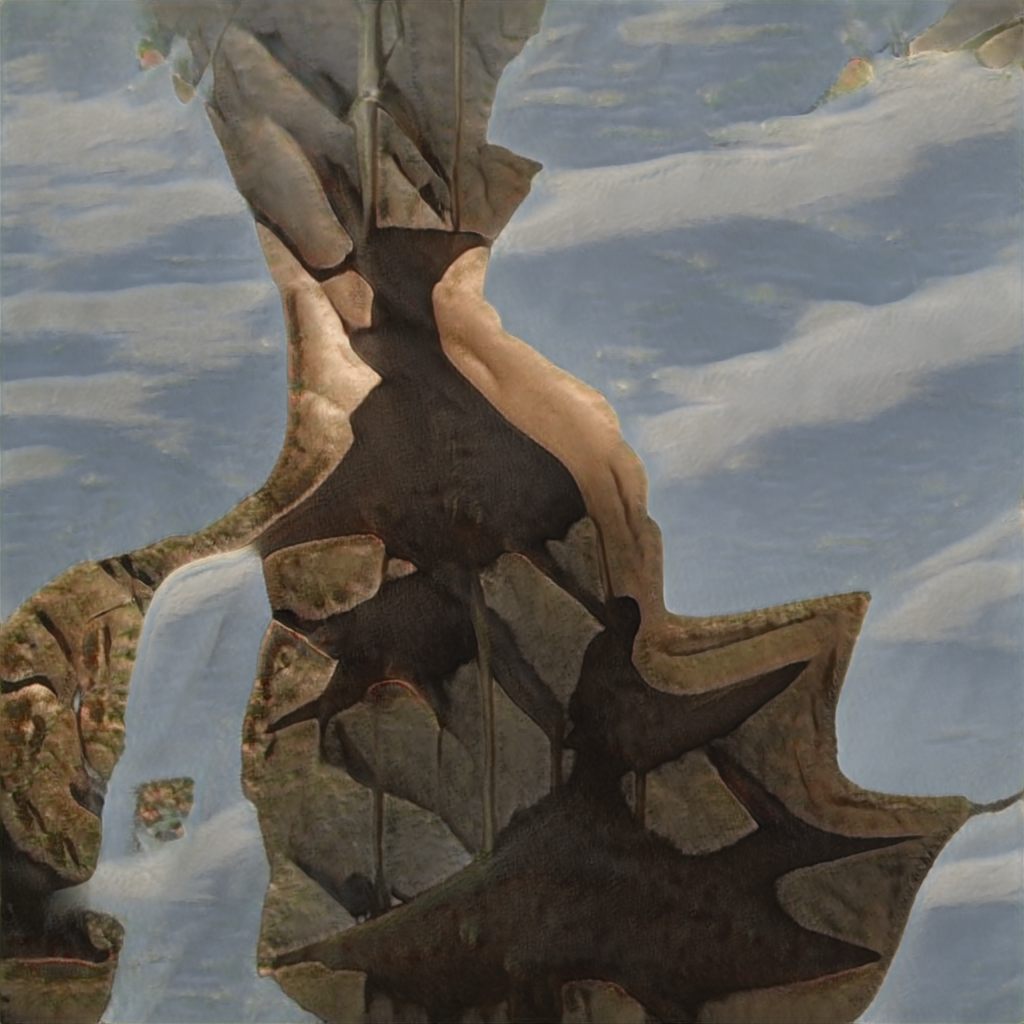 seed7546.png