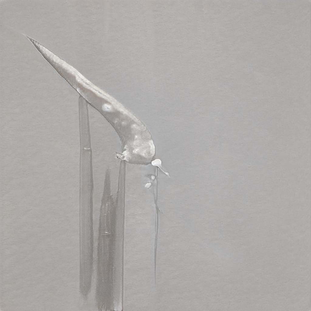 seed0733.jpg