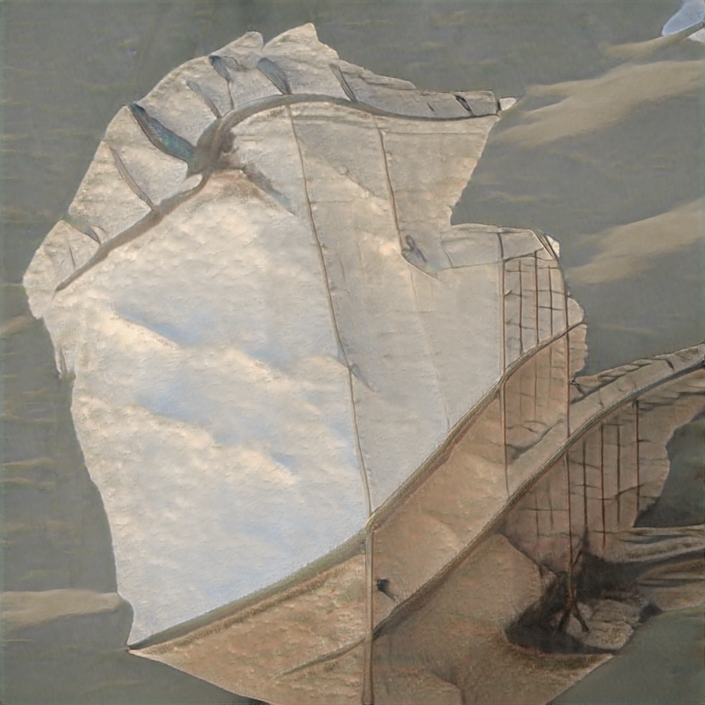 seed6040.png